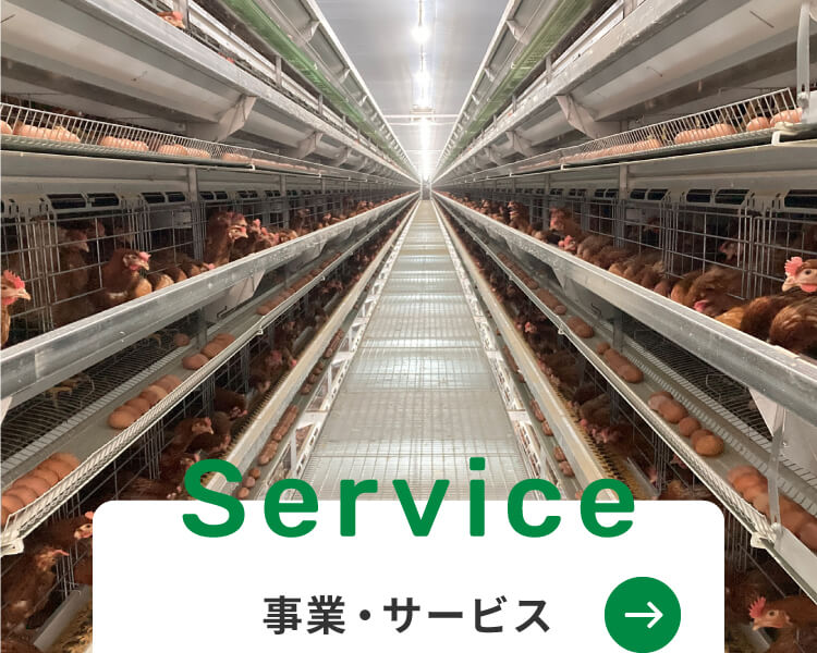 Service 事業・サービス